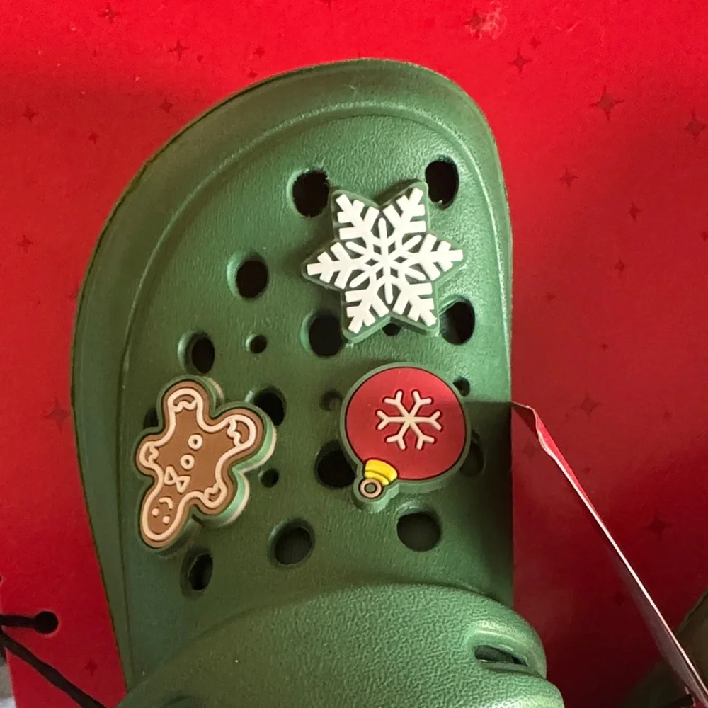 Lily & Dan toddler warm lined clogs SZ 9/10 Green Slippers with Red Fleece